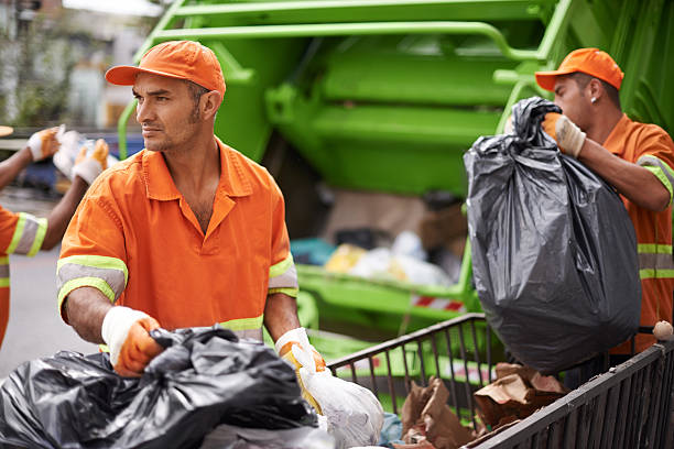 Best Professional Junk Removal  in Cumberland, MD